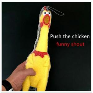 مرغ جیغ کش بزرگ